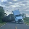 250M Bees Escape As Semi Overturns In Washington State